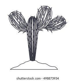 Isolated cactus plant design