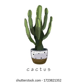 Isolated cactus in a pot on a white background. Interior plants. Green cactus. Sticker, banner, print, logo, card. Vector illustration.