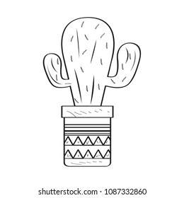 Isolated cactus sketch