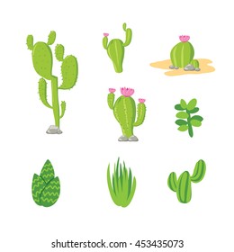 isolated cactus vector cartoon design