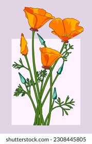 Isolated california poppy bunch. Vector illustration.