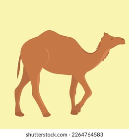Isolated camel in flat style. Desert animal. Vector illustration.