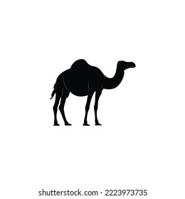 Isolated camel icon or logo vector graphics