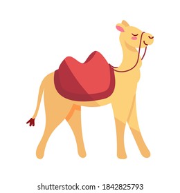 Isolated camel icon. Nativity characters icon - Vector