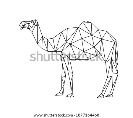 Isolated camel in low poly style on white background. Polygonal illustration of an animal desert consisting of triangles. Geometric design for the logo, for printing on clothes or poster. Vector.