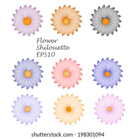 Isolated camomille flower set