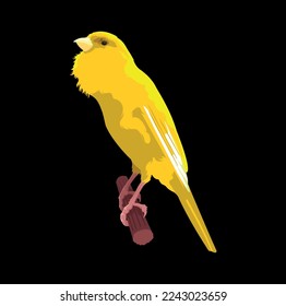 isolated canary vector on black background, yellow canary