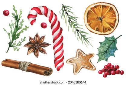 Isolated candy cane, gingerbread, anise star, branch leaves, red berries, holly leaf, cinnamon, orange, fir tree etc. Traced vector watercolor set. Hand drawn illustration collection white background