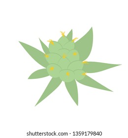 Isolated cannabis bud 