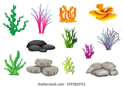 caral aislado y piedra en diseño vectorial de fondo blanco