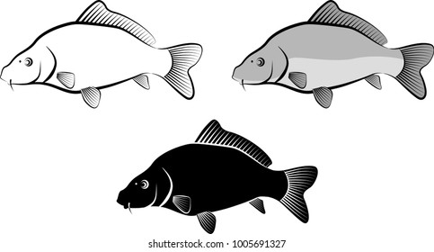 isolated carp fish - clip art illustration and line art
