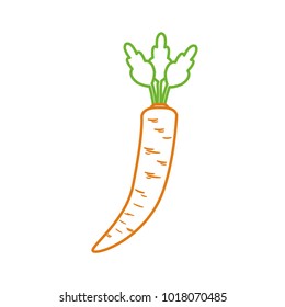 Isolated carrot design