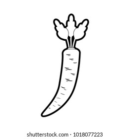 Isolated carrot design