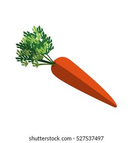 Isolated carrot design