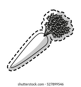 Isolated carrot design
