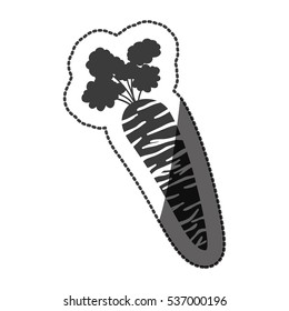 Isolated carrot design
