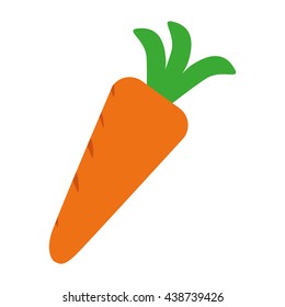 isolated carrot design. organic food concept , vector graphic 