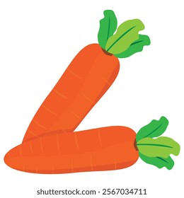 isolated carrot on white background vector design