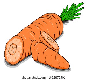 Isolated Carrot Slice with Stem, on White Background, Vegetable
