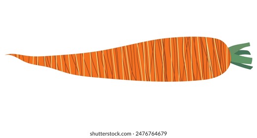 Zanahoria aislada con textura. Vegetal de Vector brillante para su diseño.