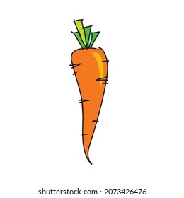 Isolated Carrot vector illustration clipart 