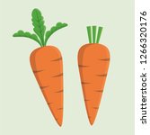 Isolated carrot vector with simple design 