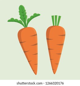 Isolated Carrot Vector With Simple Design 