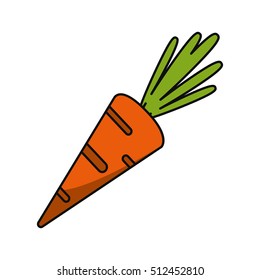 Isolated carrot vegetable design