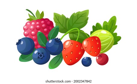 Bayas aisladas de dibujos animados. Frambuesa roja, fresa fresca de arándano de arándano. Frutas jugosas de temporada, postre vegetal de verano de otoño, ilustración vegana vectorial