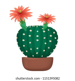 Isolated cartoon cactus in pot vectror illustration.