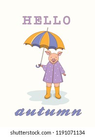 Isolated cartoon cute piggy with umbrella, symbol year 2019 according to Chinese astrology and oriental calendar. Kids book illustration piggy standing under rain with umbrella. eps 10