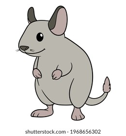 Isolated Cartoon Degu Vector Illustration