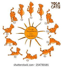 Isolated cartoon funny red cat doing yoga position of Surya Namaskara