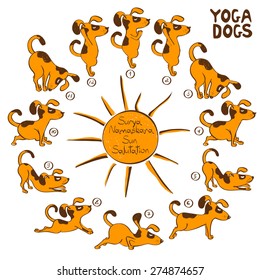 Isolated cartoon funny red dog doing yoga position of Surya Namaskara.