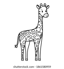 Caricatura aislada de una jirafa - Ilustración vectorial