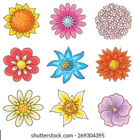 Isolated cartoon hand drawn flowers of different kinds, no gradients