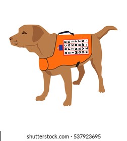 Isolated Cartoon labrador retriever rescue Dog. Lifeguard dog Squadron. Life jacket with letters and a video camera.Vector illustration.