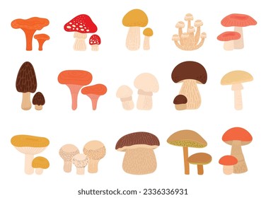 Isolated cartoon mushrooms, shiitake mushroom. Fungus and amanita, truffles and enoki tasty raw. Forest fresh autumn plants decent vector set