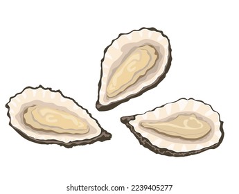 Isolated cartoon oyster white background  Oyster shell  Seafood restaurant raw snack icon isolated white background  Food hand drawn  vector illustration 