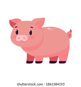Isolated cartoon of a pig - Vector illustration