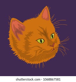 isolated cartoon red fur cat's face