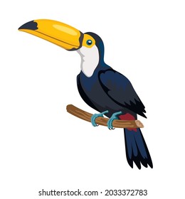 Isolated cartoon toucan icon. Mexican forest bird. Color clipart. Jungle character. Vector illustration