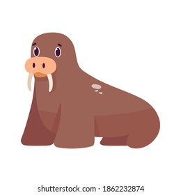 Isolated cartoon of a walrus - Vector illustration