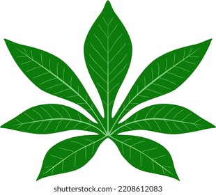 Una hoja aislada de yuca de color plano.