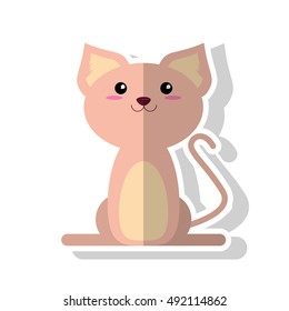 Isolated cat cartoon design