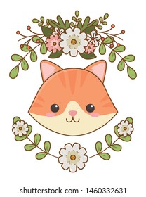 Isolated cat cartoon design vector illustrator