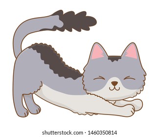 Isolated cat cartoon design vector illustrator