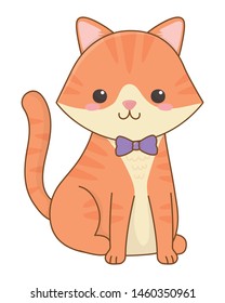 Isolated cat cartoon design vector illustrator