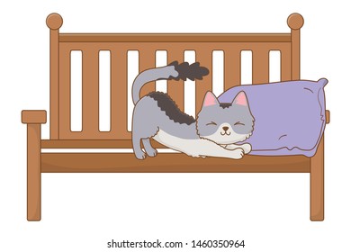 Isolated cat cartoon design vector illustrator