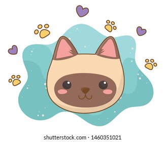 Isolated cat cartoon design vector illustrator
